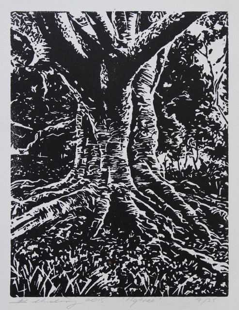 Fig tree [Stonehenge natural paper 190mm x 270mm edition size 25]